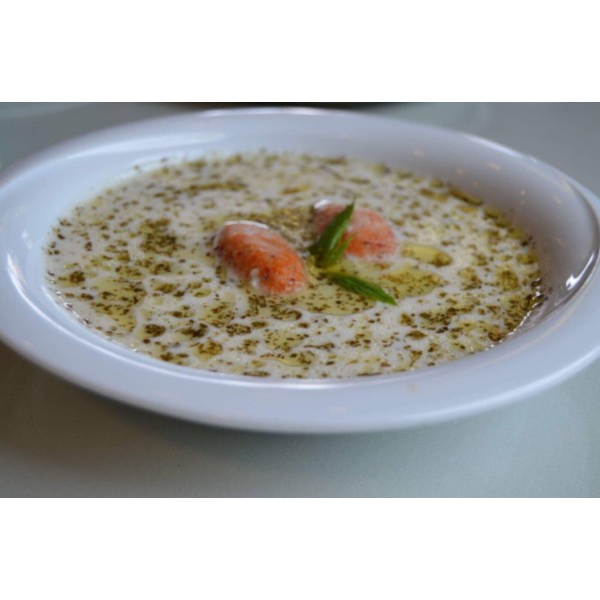 Yoğurt Aşı