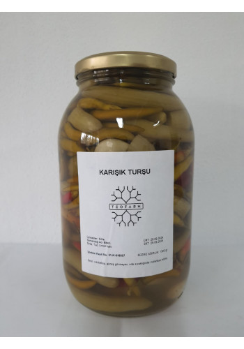 TEOFARM KARIŞIK TURŞU